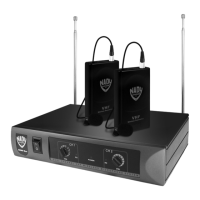 Preview: Nady Systems DKW Duo