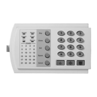Preview: NetworX NX-8V2