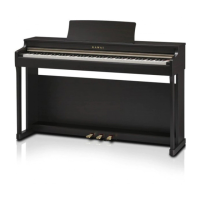 Preview: Kawai CN23