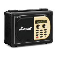 Preview: PURE Marshall EVOKE-1S
