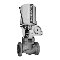 Preview: Flowserve Valtek Mark