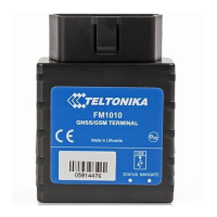 Preview: Teltonika FM1010