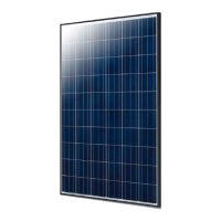 Preview: ET Solar ET-P654 series