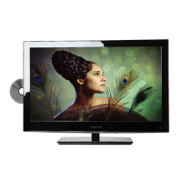 Preview: ProScan PLCDV3213A