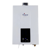 Preview: TTulpe C-Meister 12