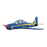 Preview: SUPER TUCANO BH173