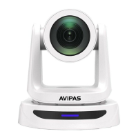 Preview: Avipas AV-2020