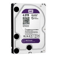 Preview: Western Digital Purple PR1334M
