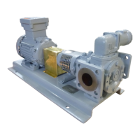 Preview: Johnson Pump TG GS2-25