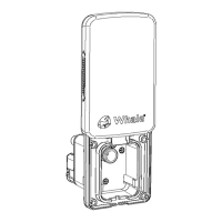 Preview: Whale Easi-Slide Series