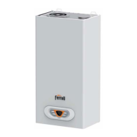 Preview: Ferroli SKY ECO F