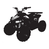 Preview: GMX MOTORBIKES TRACKER 110cc