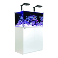 Preview: Red Sea Hydra 26