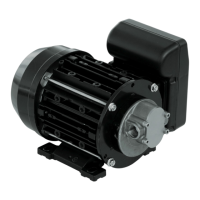 Preview: Piusi VISCOMAT 60/2 AC