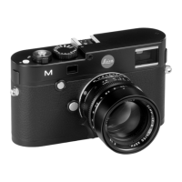 Preview: Leica M