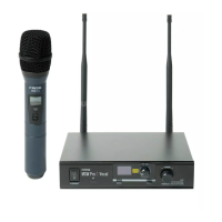 Preview: FAME MSW Pro 1 Vocal