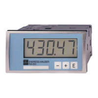 Preview: Endress+Hauser RIA251