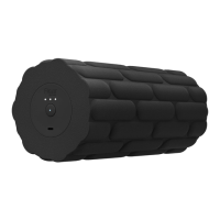Preview: Vibrating Foam Roller