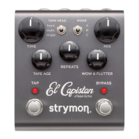 Preview: Strymon El Capistan