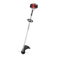 Preview: Shindaiwa T302X
