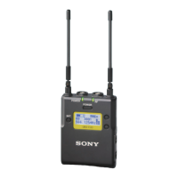 Preview: Sony UWP-D11