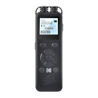 Preview: Kodak VRC250