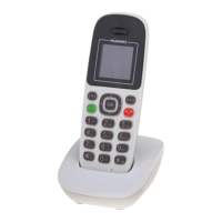 Preview: Huawei F261