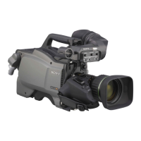Preview: Sony HXC-100