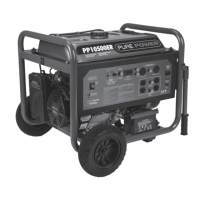 Preview: PurePower PP3600PR