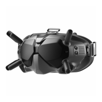 Preview: dji FPV GOGGLES