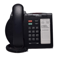 Preview: Nortel Meridian SL-100