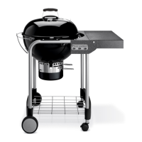 Preview: Weber Performer