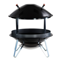 Preview: Weber FIREPLACE