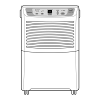Preview: Goldstar DH300E