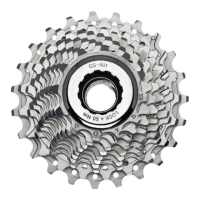 Preview: CAMPAGNOLO 10 Speed