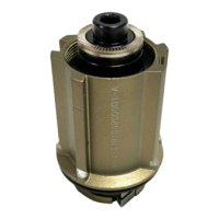 Preview: CAMPAGNOLO Freehub
