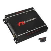 Preview: Renegade REN1000S Mk3