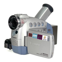 Preview: Canon MV530