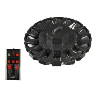 Preview: SHOWTEC Giant