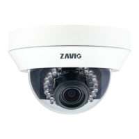 Preview: Zavio D5113