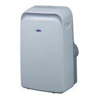 Preview: Carrier PC-09HPPD PD Portable