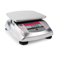 Preview: OHAUS Valor 3000 Series