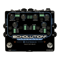 Preview: pigtronix Echolution 2 Ultra Pro
