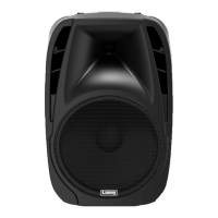 Preview: Laney AudioHub AH110
