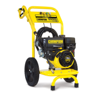 Preview: Champion Power Equipment 76525