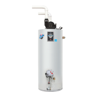 Preview: Bradford White LG2PDV50H60N