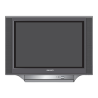 Preview: Sanyo CM29FS2