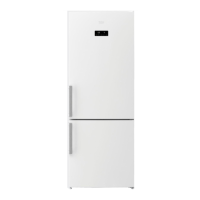 Preview: Beko RCNE520E32X