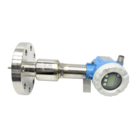 Preview: Endress+Hauser Levelflex M FMP45