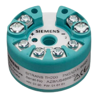Preview: Siemens SITRANS T4200